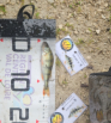 photo prise 51919 par Greg