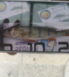 photo prise 51920 par 