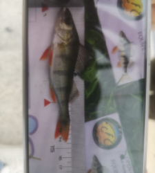 photo prise 51922 par 