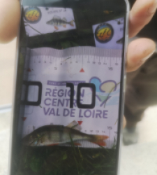 photo prise 51923 par 