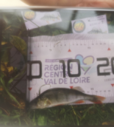 photo prise 51924 par 