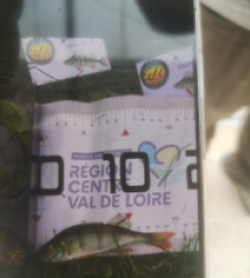 photo prise 51925 par 