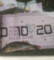 photo prise 51926 par 