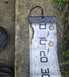 photo prise 51928 par Emmanuel RD