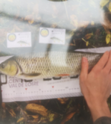 photo prise 51930 par 