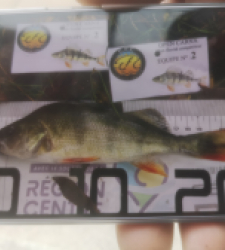 photo prise 51931 par 