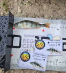 photo prise 51935 par Greg