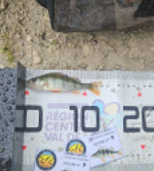 photo prise 51936 par Greg