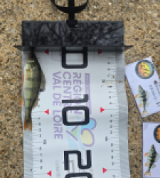 photo prise 51938 par Emmanuel RD