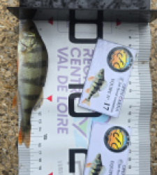 photo prise 51939 par Emmanuel RD