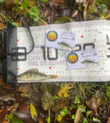 photo prise 51940 par Joris Pougin