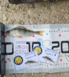 photo prise 51941 par Greg