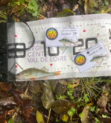 photo prise 51944 par Joris Pougin