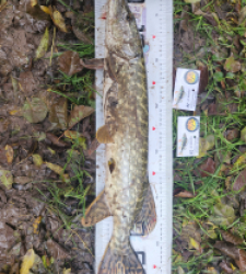 photo prise 51946 par peslinrudy27