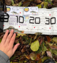 photo prise 51949 par Guillaume vidal