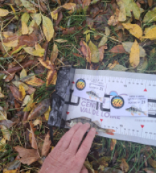 photo prise 51951 par gege10