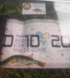 photo prise 51952 par 