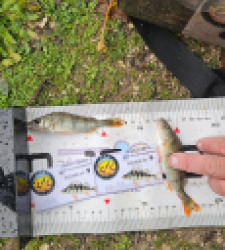 photo prise 51953 par Greg