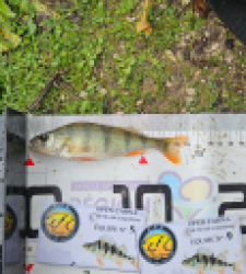 photo prise 51954 par Greg