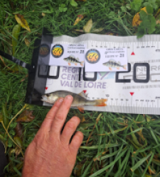 photo prise 51956 par gege10