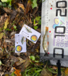 photo prise 51957 par bverger17