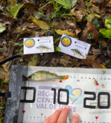 photo prise 51960 par bverger17