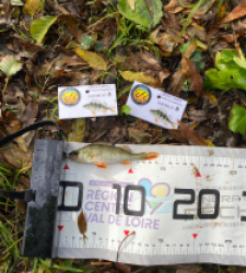 photo prise 51962 par bverger17