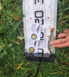 photo prise 51965 par gege10