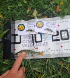 photo prise 51966 par gege10