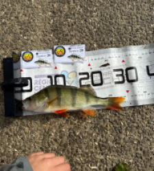 photo prise 51967 par Guillaume vidal