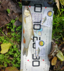 photo prise 51968 par Polofisher