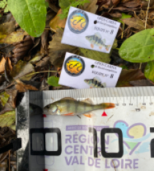 photo prise 51969 par bverger17