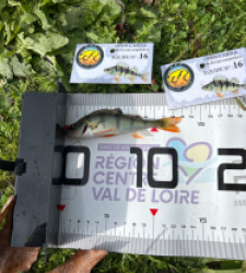 photo prise 51970 par The fisher16