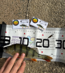 photo prise 51971 par Guillaume vidal