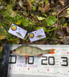 photo prise 51972 par bverger17