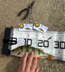 photo prise 51974 par Guillaume vidal