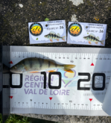 photo prise 51985 par The fisher16