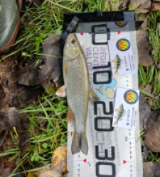 photo prise 51986 par Polofisher