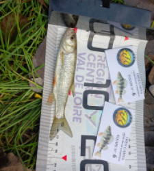 photo prise 51988 par Polofisher