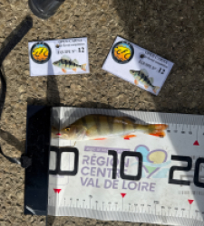 photo prise 51990 par Djy86om 