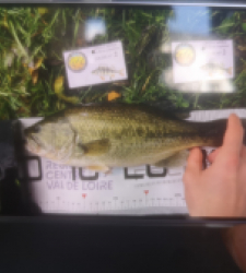 photo prise 51999 par 