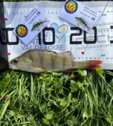 photo prise 52013 par 