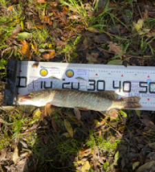 photo prise 52014 par Amandine