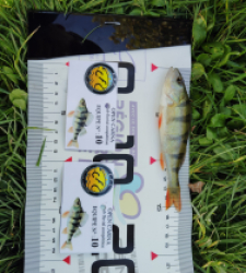 photo prise 52017 par Fred