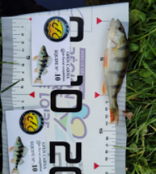 photo prise 52018 par Fred