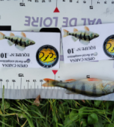 photo prise 52019 par Fred