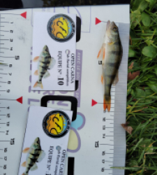 photo prise 52020 par Fred