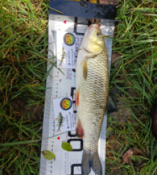 photo prise 52022 par Polofisher