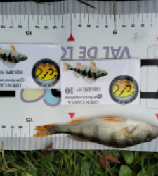 photo prise 52031 par Fred