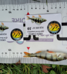 photo prise 52033 par Fred